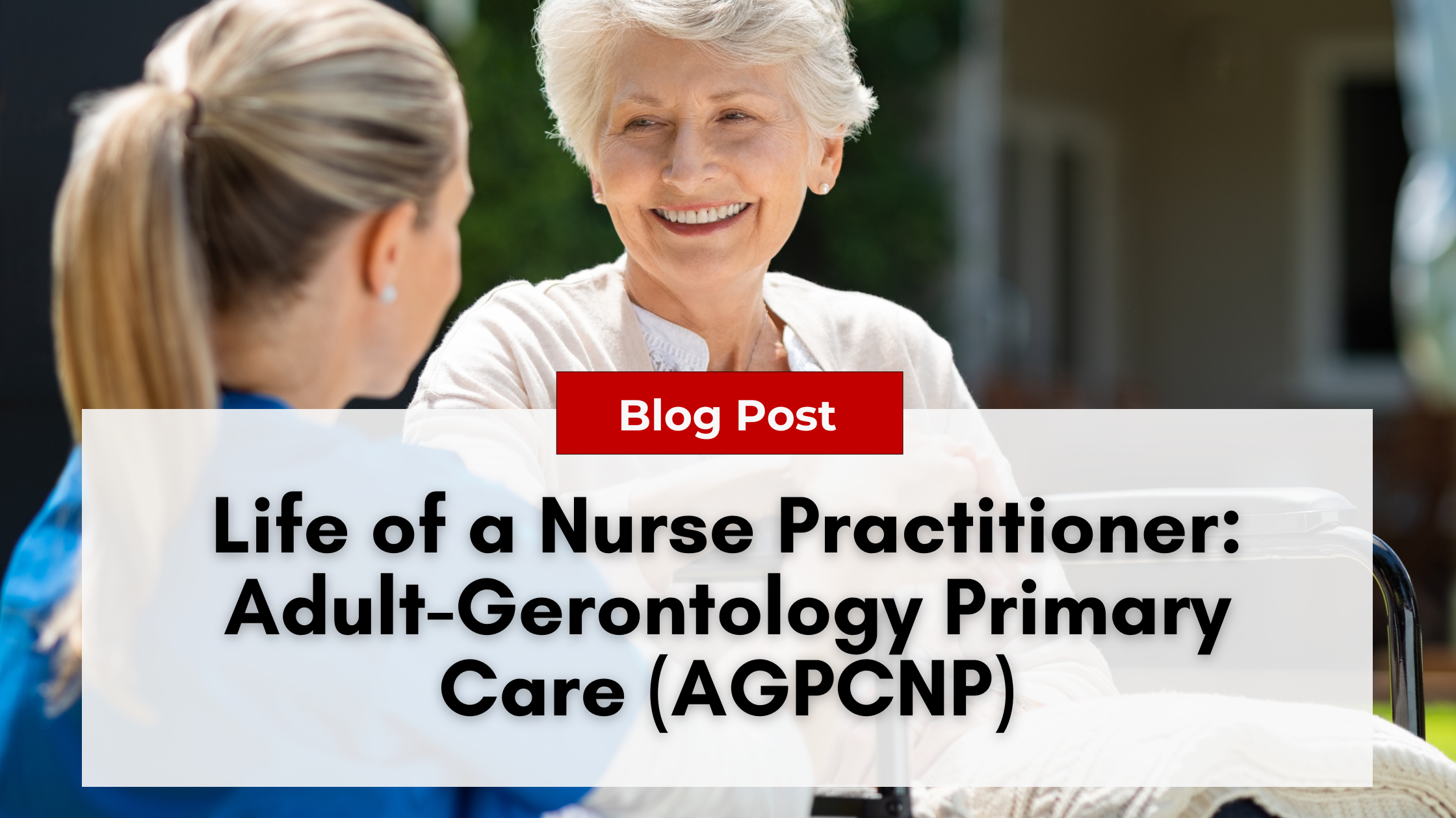 A nurse practitioner converses with an elderly woman in a medical setting, with a blog post title about adult-gerontology primary care displayed prominently in the foreground.